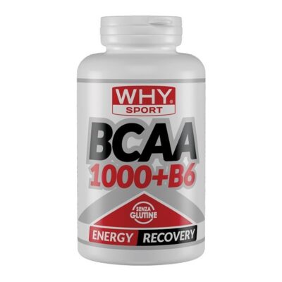 BCAA 1000+B6 300cpr- Why Sport